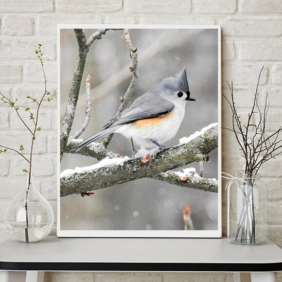 Tufted Titmouse in Snow Bird Photography Print‎ - Picture 1 of 5